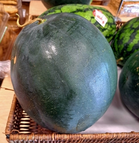 Watermelon Sugar Baby with Seeds (LOCAL)